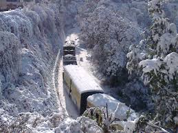 Toy Train Shimla, north india tour packages