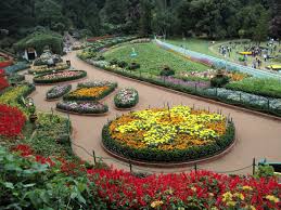 coonoor family tour packages