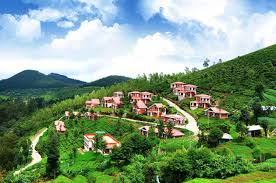 ooty family tour packages