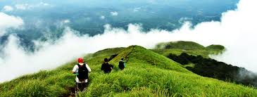 wayanad family tour packages